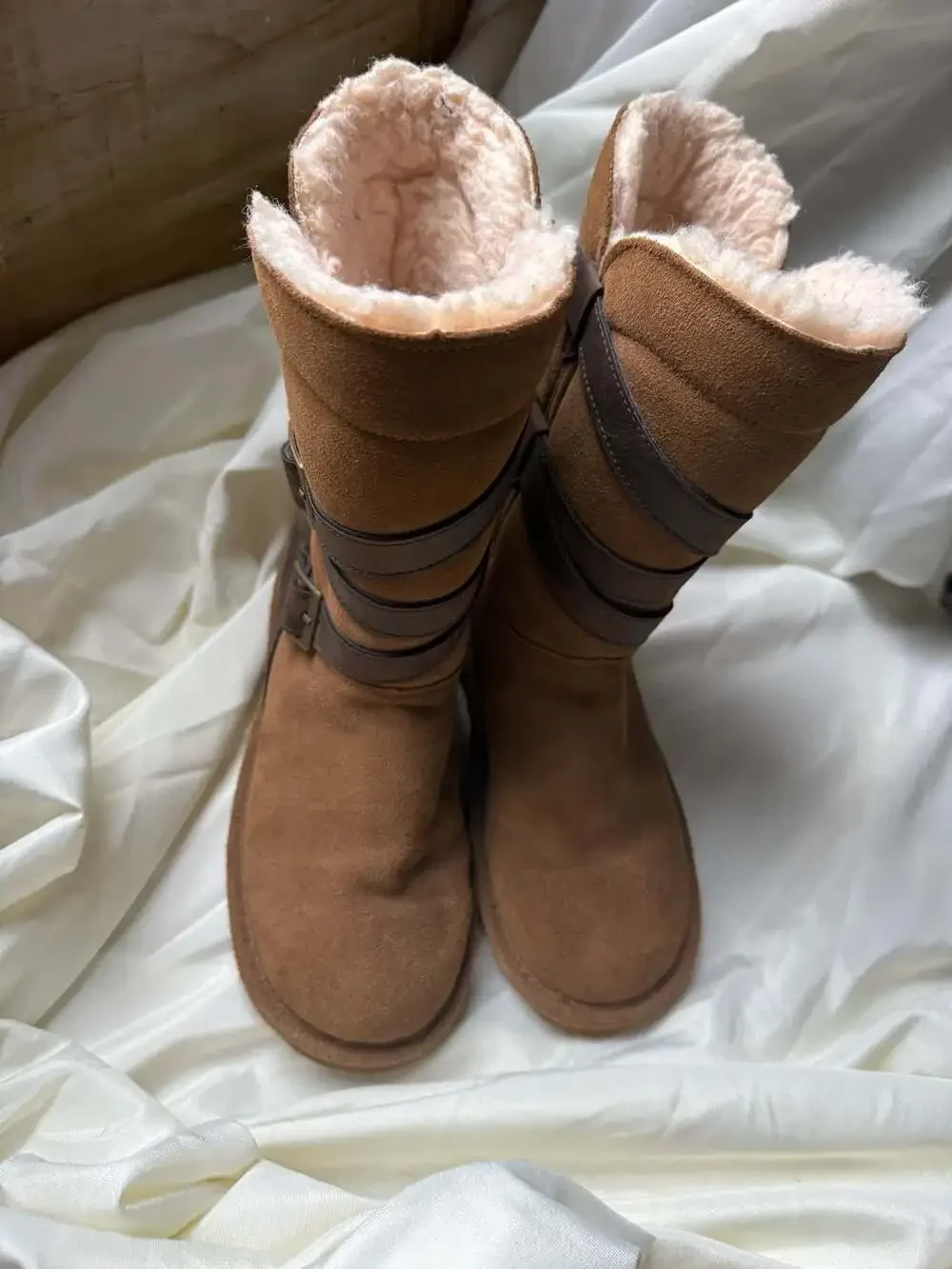 BearPaw